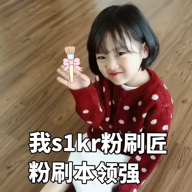 我s1kr粉刷匠粉刷本领强