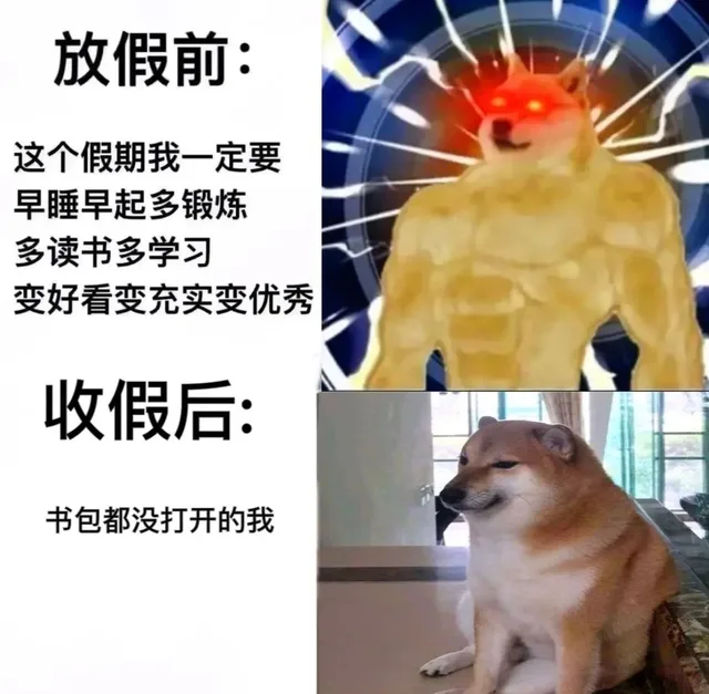 放假前:这个假期我一定要早睡早起多锻炼多读书多学习变好看变充实变优秀收假后:书包都没打开的我