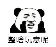 整啥玩意呢（整啥玩意呢）
