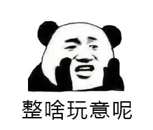 整啥玩意呢