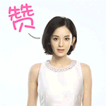 赞（赞）