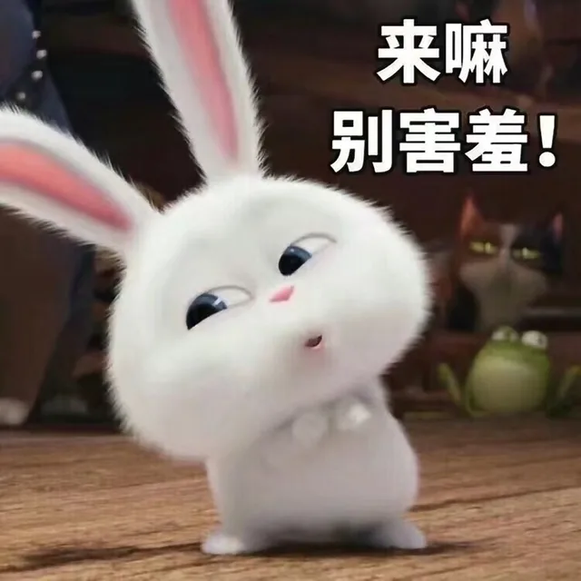 来嘛 别害羞（来嘛 别害羞）