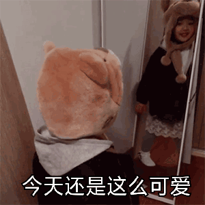 今天还是这么可爱