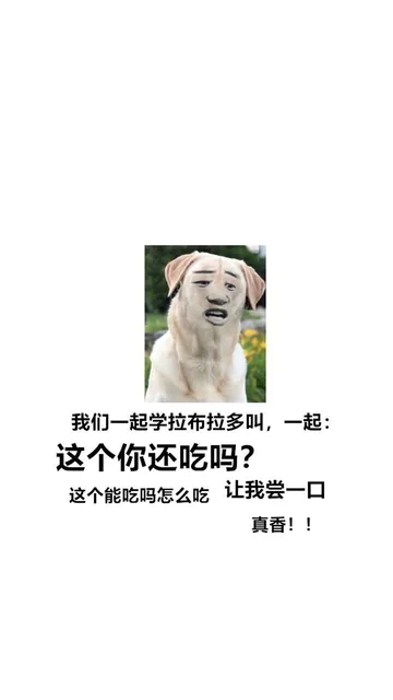我们一起学拉布拉多叫,一起这个你还吃吗?这个能吃吗怎么吃让我尝一口真香!!（我们一起学拉布拉多叫,一起这个你还吃吗?这个能吃吗怎么吃让我尝一口真香!!）