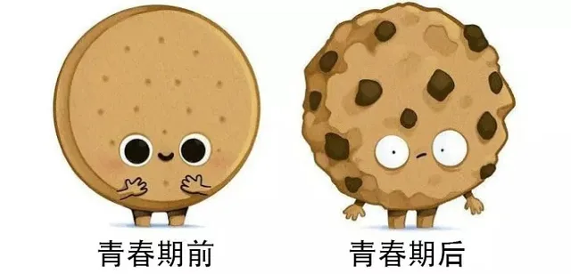 青春期前青春期后