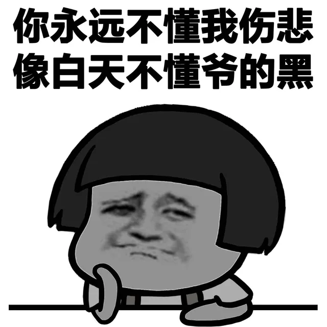 你永远不懂我伤悲 像白天不懂爷（夜）的黑
