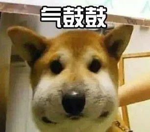 气鼓鼓（气鼓鼓）