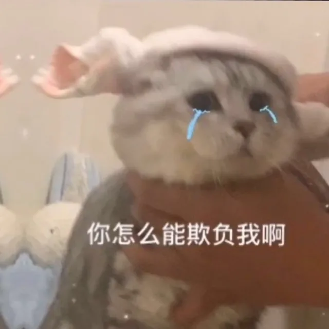 你怎么能欺负我啊（你怎么能欺负我啊）