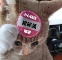 小心轻放易碎品谢谢（小心轻放易碎品谢谢）