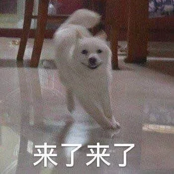 来了来了