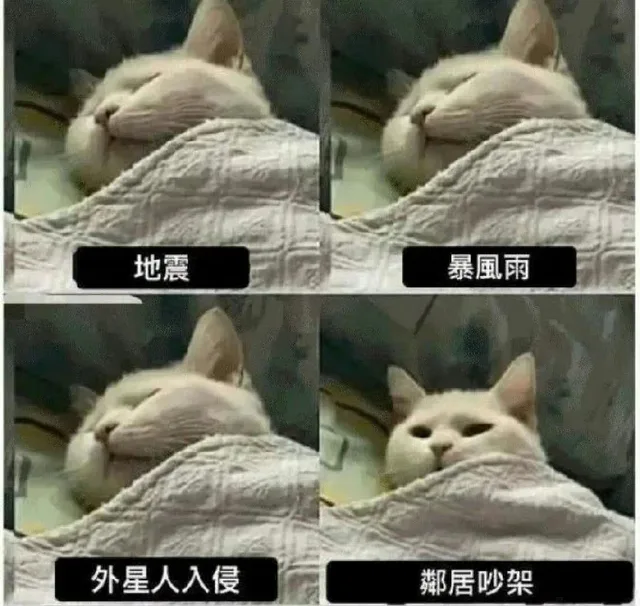 地震暴風雨外星人入侵鄰居吵架（地震暴風雨外星人入侵鄰居吵架）