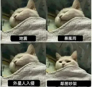 地震暴風雨外星人入侵鄰居吵架