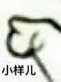 小样儿