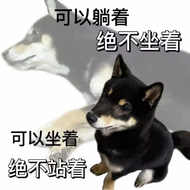 可以躺着绝不坐着可以坐着绝不站着（可以躺着绝不坐着可以坐着绝不站着）