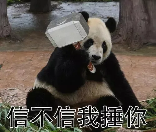 信不信我锤你