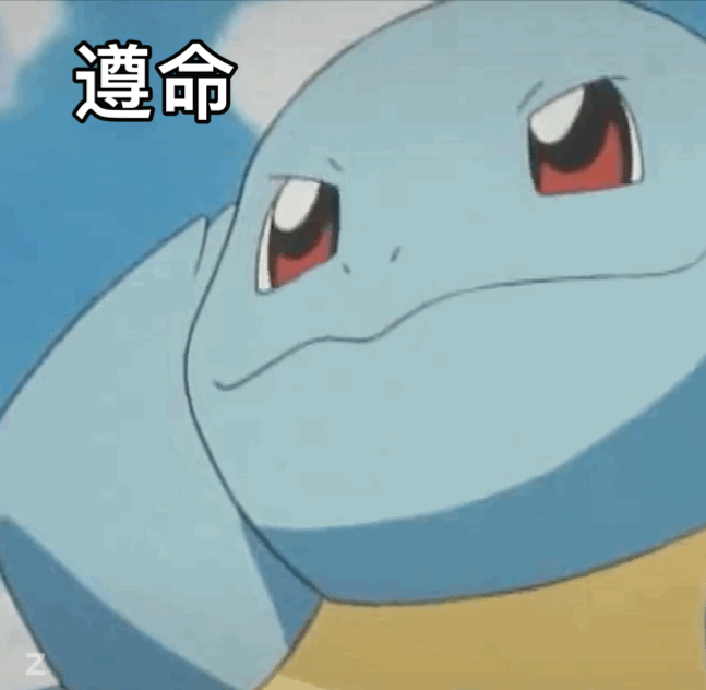 杰尼龟遵命