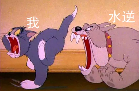 水逆把我安排得明明白白