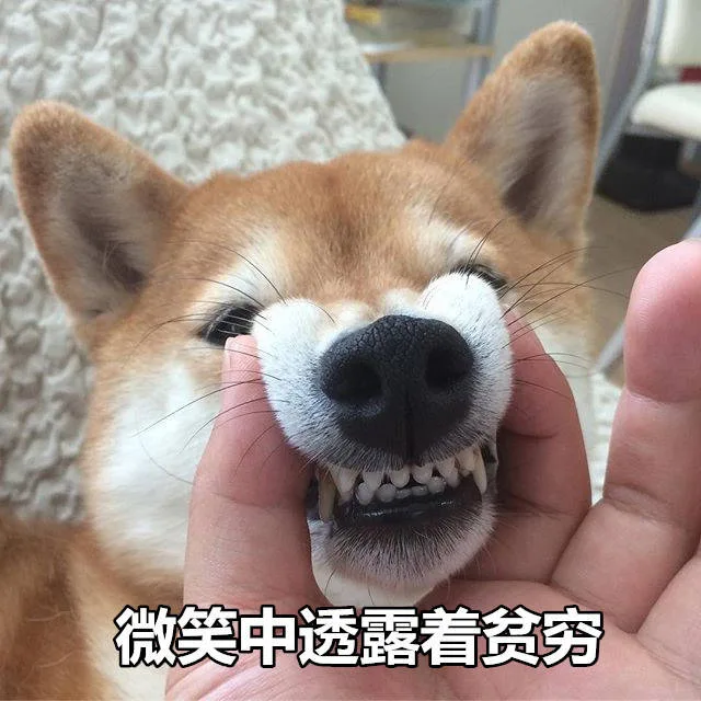 微笑中透露着贫穷
