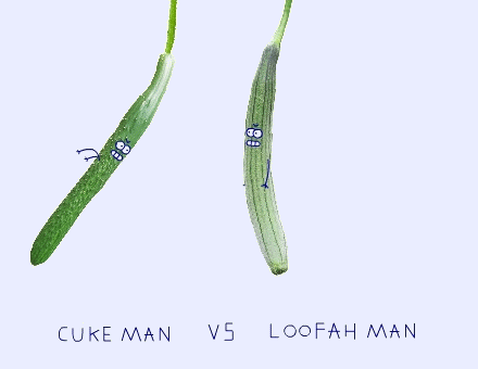 cuke man vs loofan man（黄瓜VS某瓜）（cuke man vs loofan man（黄瓜VS某瓜））