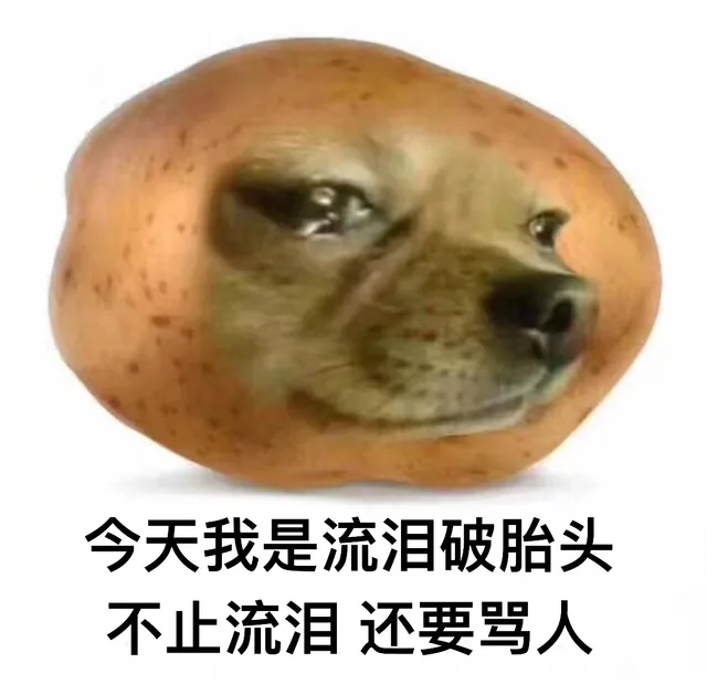 今天我是流泪破胎头不止流泪还要骂人（今天我是流泪破胎头不止流泪还要骂人）