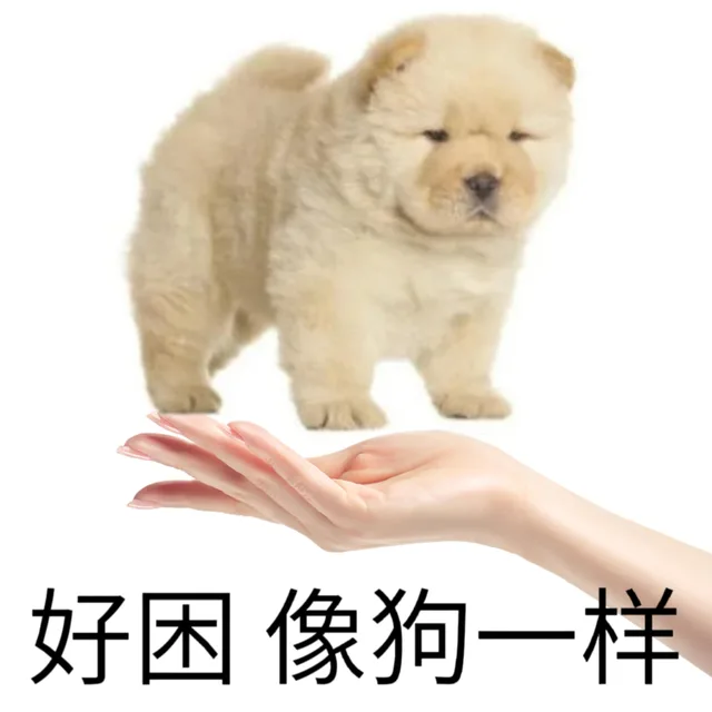 好困像狗一样（好困像狗一样）