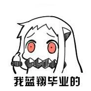 我蓝翔毕业的