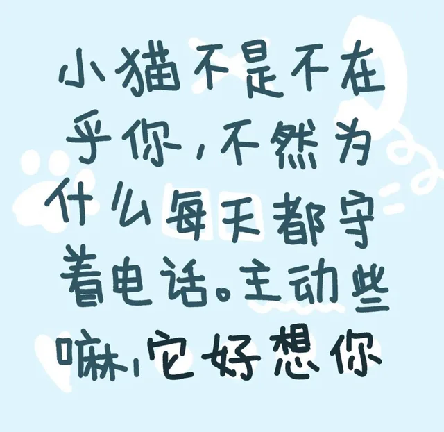 小猫不是不在乎你,不然为什么每天都守着电话主动些嘛它好想你