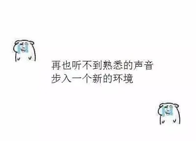 再也听不到熟悉的声音 步入一个新的环境
