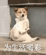 为生活喝彩（为生活喝彩）