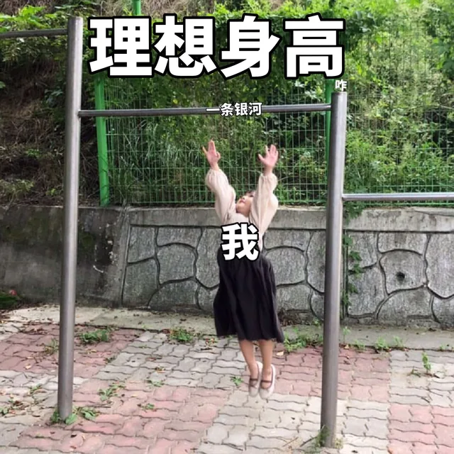 理想身高条银河我