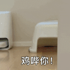 鸡哔你！（鸡哔你！）