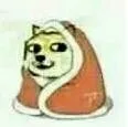裹着我的小被子（doge）