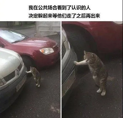 我在公共场合看到了认识的人决定躲起来等他们走了之后再出来