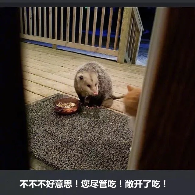 不好意思！您尽管吃！敞开了吃！（不好意思！您尽管吃！敞开了吃！）