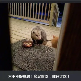 不好意思！您尽管吃！敞开了吃！