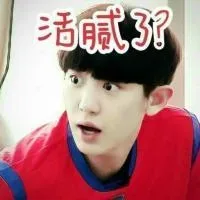 EXO斗图表情包_明星表情表情包