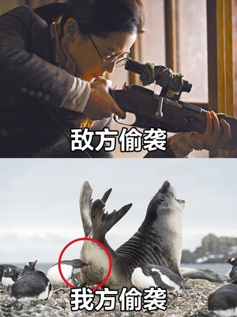敌方偷袭我方偷袭