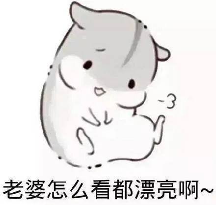 老婆怎么看都漂亮啊~（老婆怎么看都漂亮啊~）