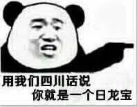 用我们四川话说，你就是一个日龙宝