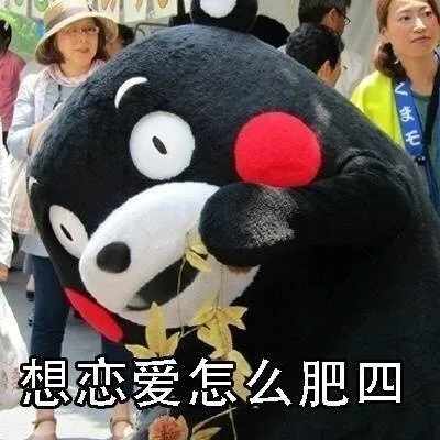 想恋爱怎么肥四