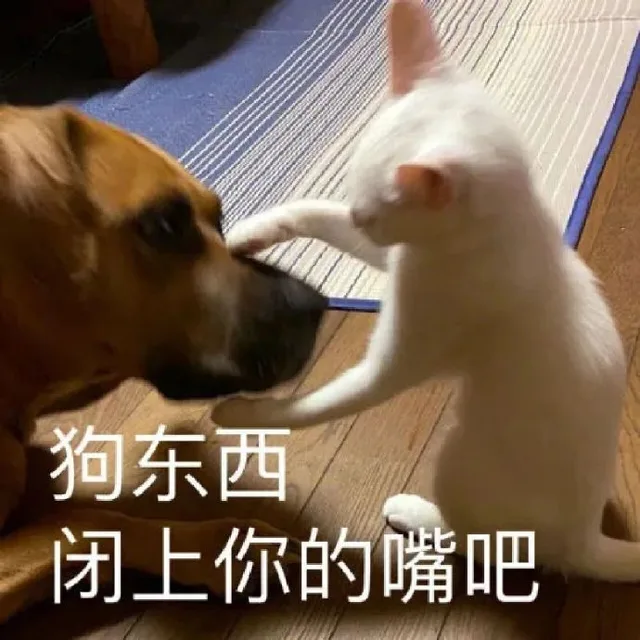 狗东西闭上你的嘴吧（狗东西闭上你的嘴吧）