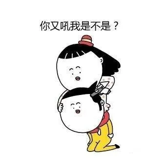 你又吼我是不是