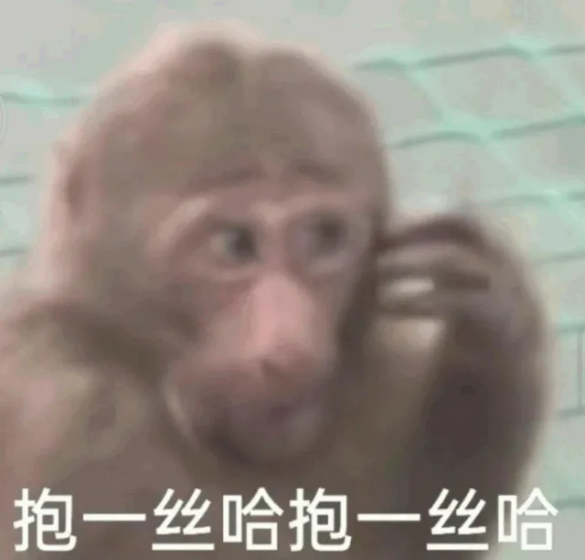 抱一丝哈抱一丝哈(不好意思 猴子表情包)（抱一丝哈抱一丝哈(不好意思 猴子表情包)）