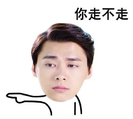 你走不走（你走不走）
