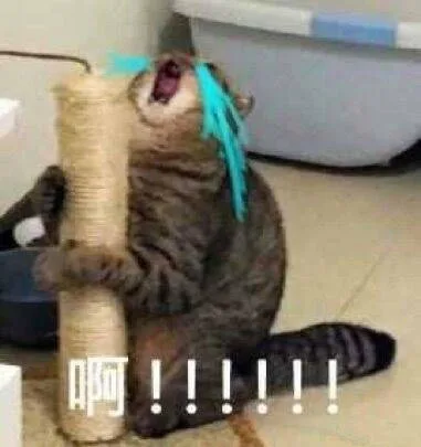 啊！！！