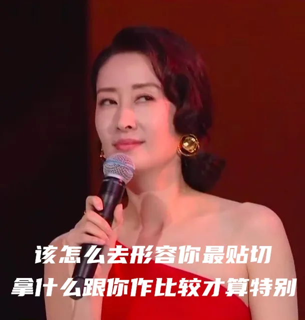 该怎么去形容你最贴切拿什么跟你作比较才算特别（刘敏涛表情包）（该怎么去形容你最贴切拿什么跟你作比较才算特别（刘敏涛表情包））