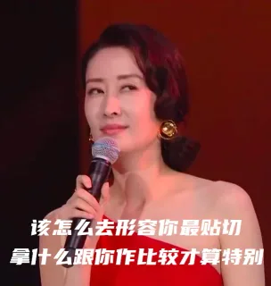 该怎么去形容你最贴切拿什么跟你作比较才算特别（刘敏涛表情包）