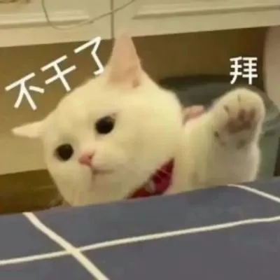 不干了拜(猫猫表情包)（不干了拜(猫猫表情包)）