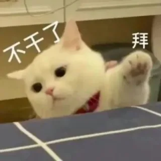 不干了拜(猫猫表情包)