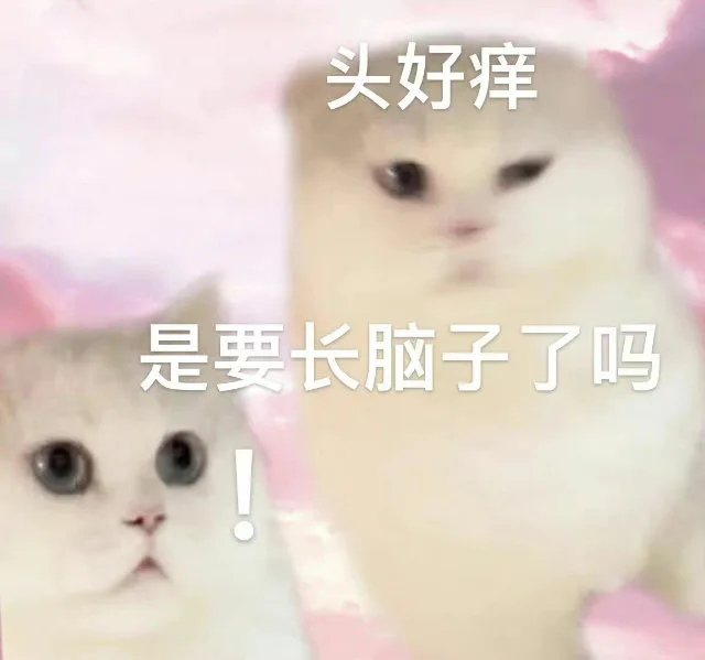 头好痒是要长脑子了吗（头好痒是要长脑子了吗）